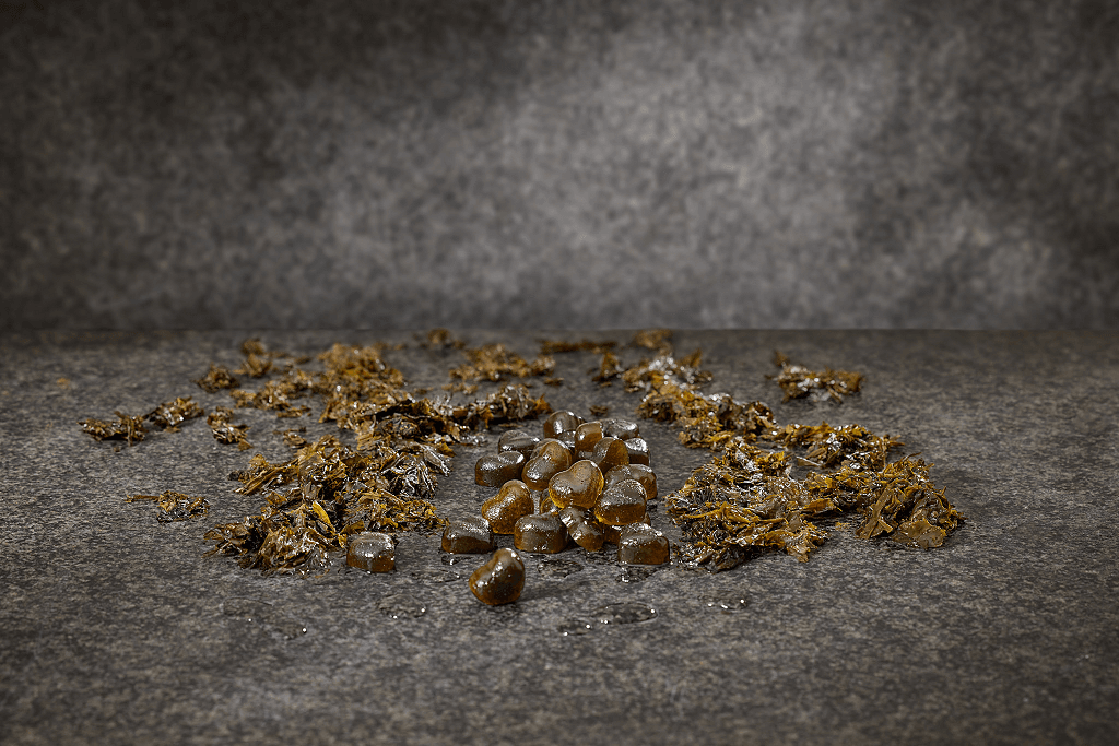 Grön kärlek till alla hjärtans dag – PBX lanserar Tånghjärtan från havet