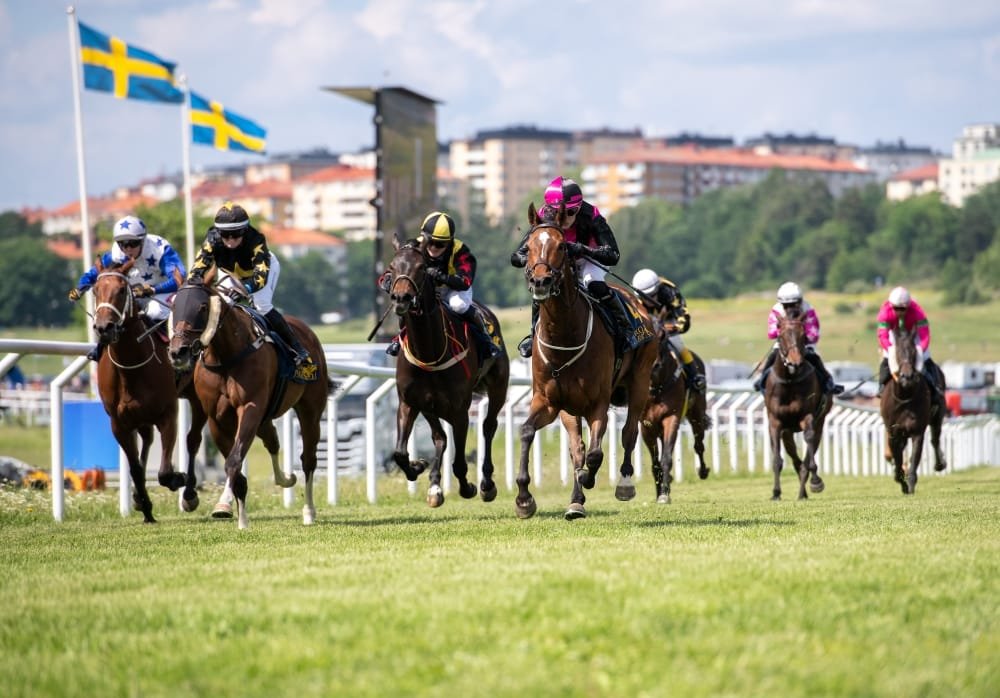 Nationaldagsgaloppen lockade jättepublik till Gärdet Nationaldagsgaloppen lockade jättepublik till Gärdet