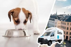 Pet Pawr Group samarbetar med Gordon för hemleveranser av fryst färskfoder för hund och katt 
Pet Pawr Group samarbetar med Gordon för hemleveranser av fryst färskfoder för hund och katt