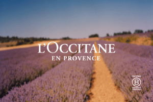 En resa som startade i Provence.