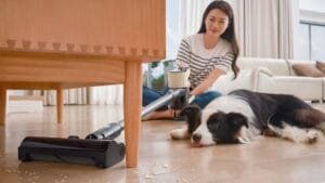 Roborock avslöjar världsunika städteknologier för smarta hem på IFA 2024