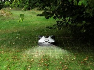 Husqvarnas gräsexpert – Fem tips för att förbereda gräsmattan inför vintern