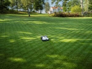 Husqvarnas gräsexpert – Fem tips för att förbereda gräsmattan inför vintern