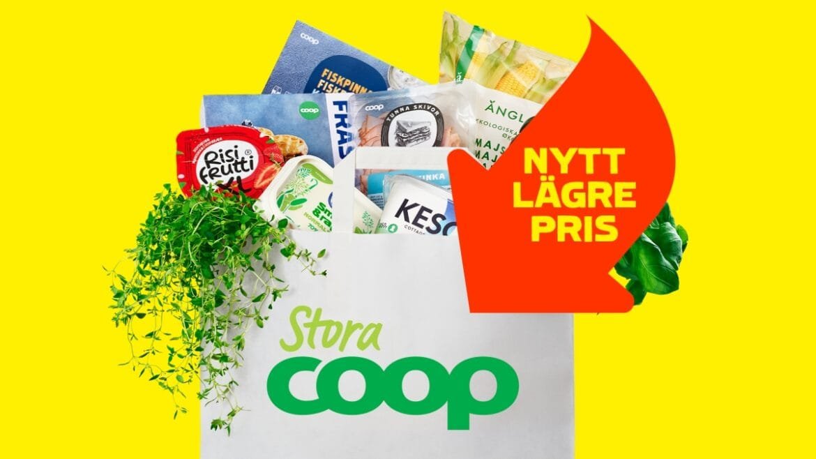 8c2d2869152ee826 org sfsdsd