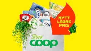 8c2d2869152ee826 org sfsdsd