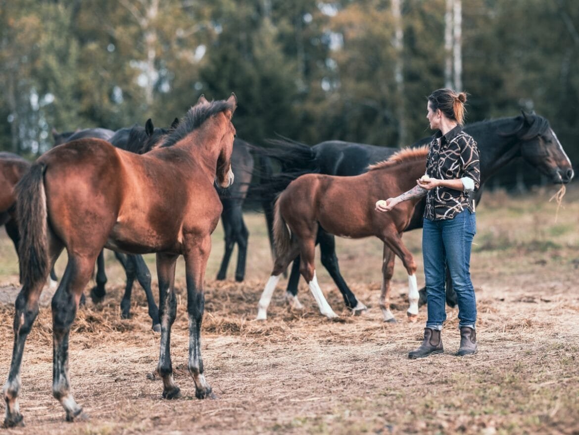 Tove Öjes Lundell fotograf Erik Widlund dksjfjd