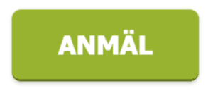 anmäl Skärmbild 2026 01 16 132520