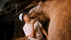 a290eed0f9562efa org werer