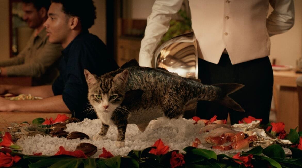 HCOM IAITN Catfish Key Visual SE tryr5