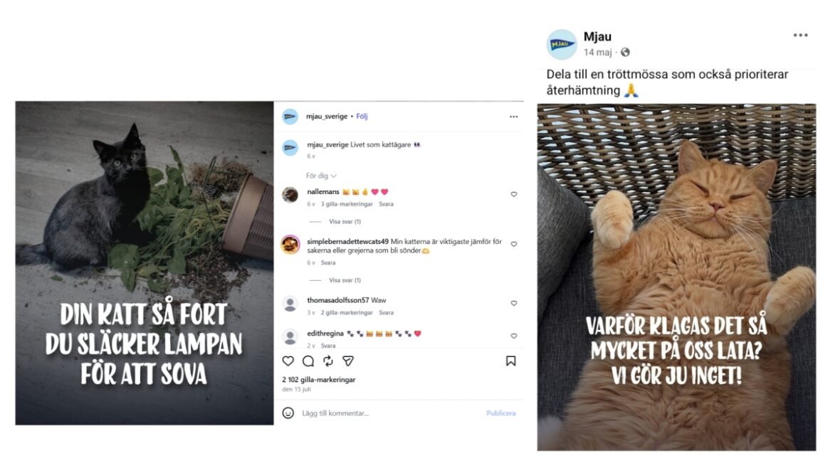 Mjau bland Sveriges mest inflytelserika varumärken på Facebook