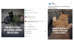 Mjau bland Sveriges mest inflytelserika varumärken på Facebook