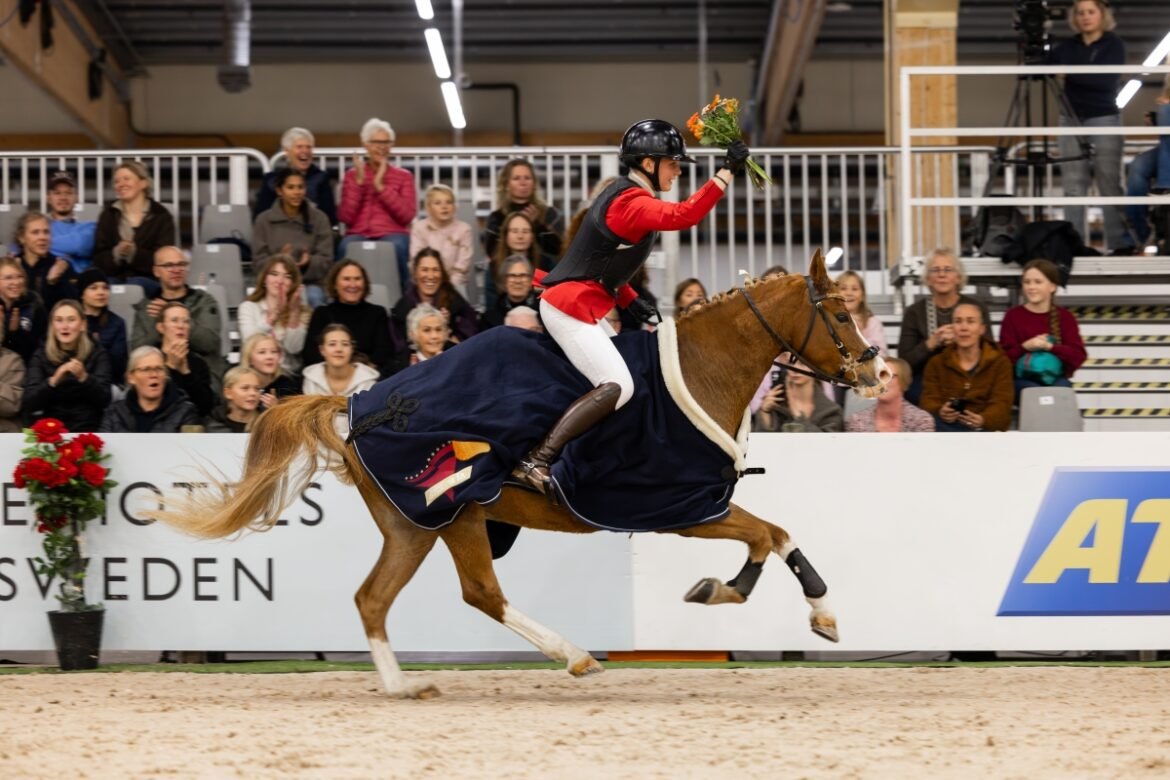 Succédebut för Working Equitation på Jönköping Horse Show