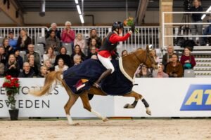 Succédebut för Working Equitation på Jönköping Horse Show