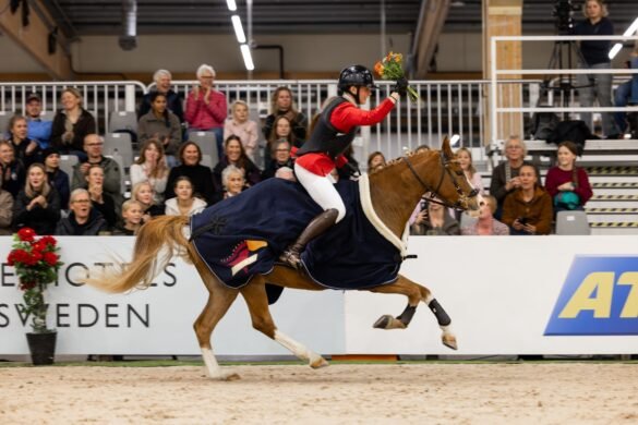Succédebut för Working Equitation på Jönköping Horse Show