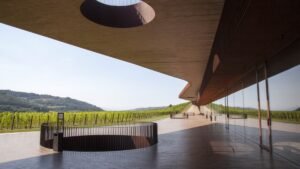 Ward Wines beklagar den omfattande vinstölden hos Marchesi Antinori